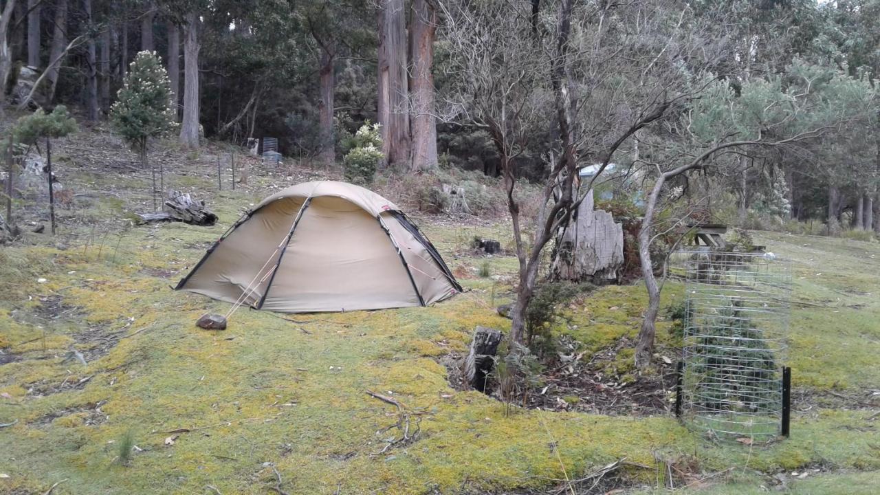 Base Camp Tasmania Hotel New Norfolk Exterior photo